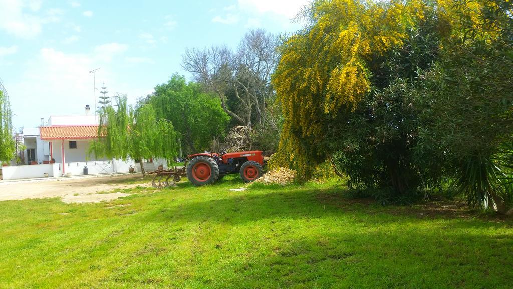 Agriturismo Le Tagliate ウッジャーノ・ラ・キエーザ エクステリア 写真