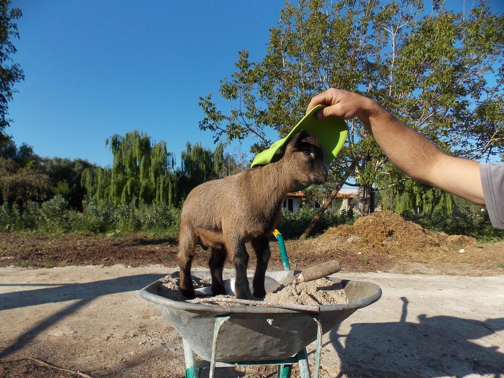 Agriturismo Le Tagliate ウッジャーノ・ラ・キエーザ エクステリア 写真